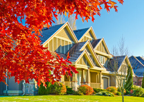 Fremont Real Estate, Olivia Chan REALTOR